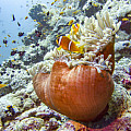 Unterwasserkamera Scubapro SeaLife MICRO 3.0 64 GB
