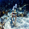 Flossen Aqua Lung AMIKA