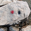 Speerspitzen Omer MUSTAD HR RED 5-Spitze